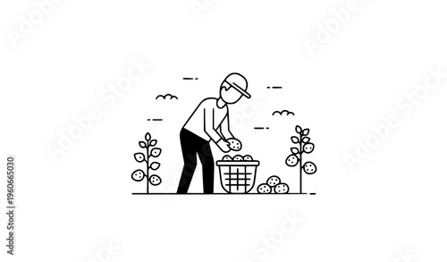 Minimal potato harvest scene vector black white farmer collecting crops simple agriculture illustration design