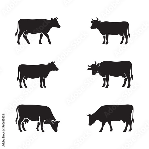 Set of cow silhouette icons, Grazing and standing cattle collection, Farm livestock animal vector icons. Vector graphics.
