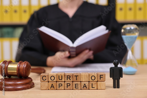 Quadro su tela A dedicated judge focuses on legal texts while preparing for an important court of appeal session