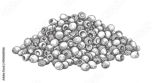 Hand drawn pile of assorted berries and seeds in grayscale