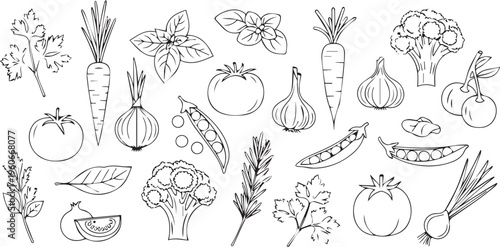 A comprehensive vector graphic illustration showcasing a diverse assortment of hand-drawn outline fresh organic vegetables, fruits, and culinary herbs, ideal for healthy eating, cooking, nutrition