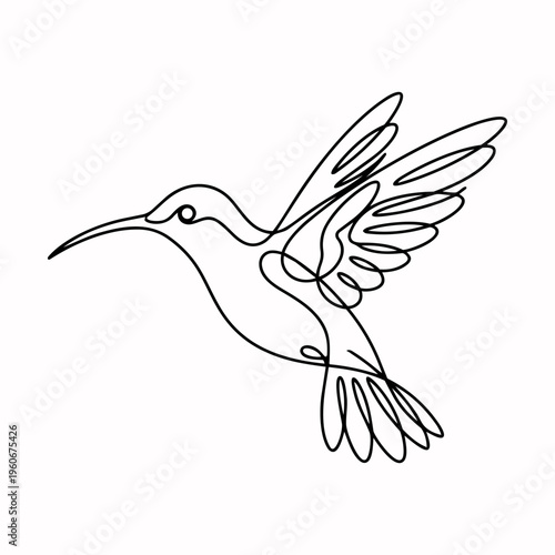 Colibri Bird Line Art. Minimalistic One Line Drawing Hummingbird Hovering. Wildlife Nature Vector