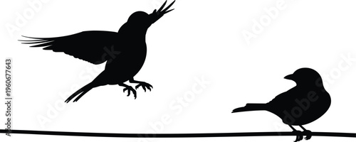 Birds silhouette vector illustration, two black birds on branch landing and perched wildlife scene
