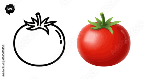 Fresh Tomato Icon and Realistic Drawing Comparison, Healthy Food Concept