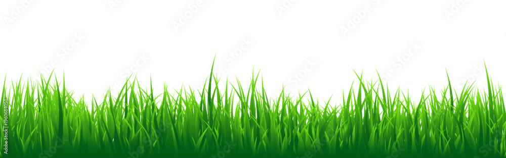 Fototapeta premium Meadow silhouette with green grass, plants on plain. Panoramic summer lawn landscape with herbs, various weeds. Herbal border, frame element. Black horizontal banners. Vector illustration