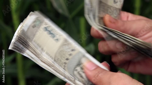 Closeup 4k video of Indian farmer hands counting 500 rupee currency notes. Financial concept showing income, earnings, rural economy, and money handling.