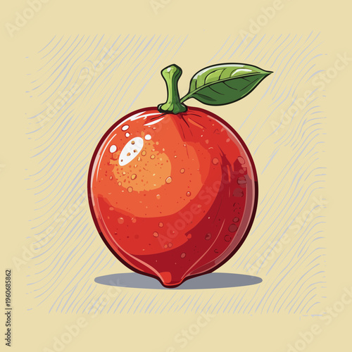 Red round citrus fruit with smooth skin for healthy diet and fresh organic food illustration - Vector Illustration