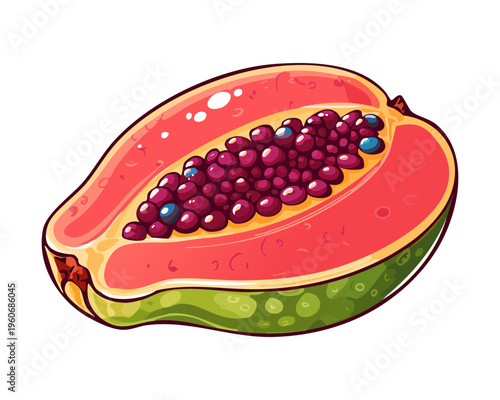 Ripe papaya slice with orange flesh for healthy organic snack and tropical fruit food theme - Vector Illustration