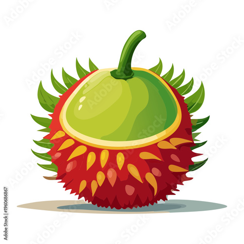 Ripe papaya fruit cut lengthwise showing black seeds and orange flesh for tropical breakfast bowl inspiration - Vector Illustration