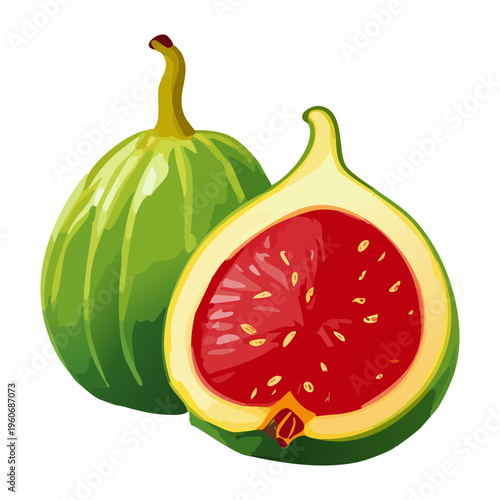 Peeled lychee fruit showing white translucent flesh for exotic asian dessert and summer refreshment themes - Vector Illustration