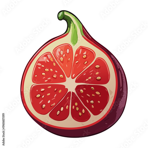 Sliced papaya fruit showing orange flesh and black seeds for tropical healthy breakfast bowl designs - Vector Illustration