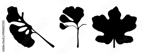 Ginkgo leaf silhouette set with black line silhouette of symmetrical fern‑shaped leaf featuring line art, black silhouette, botanical illustration with vector graphic and minimalistic design