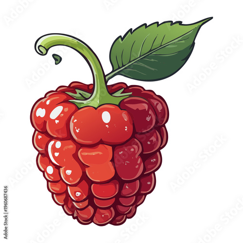 Fresh red raspberry with green leaf for summer fruit picking and healthy antioxidant breakfast - Vector Illustration