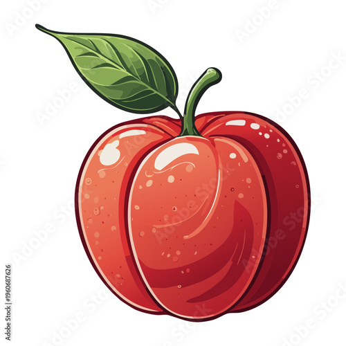 Whole peach for summer fruit picking and healthy organic snack garden farm visuals - Vector Illustration