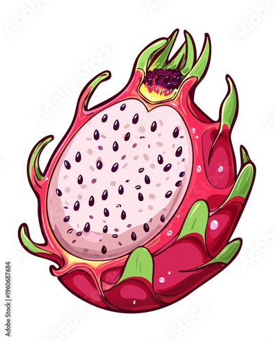 Sliced pitaya showing white flesh for exotic tropical smoothie bowl and breakfast visuals - Vector Illustration