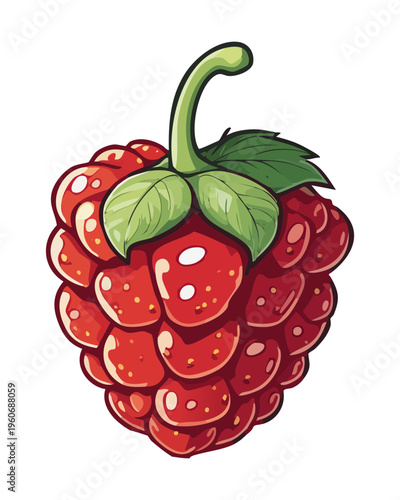 Red raspberry for summer fruit picking and healthy garden berry jam label designs - Vector Illustration