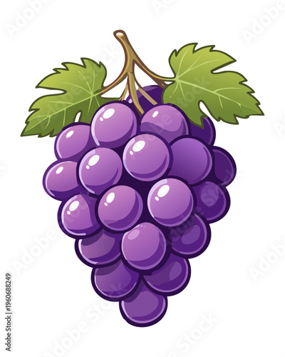 Purple grape cluster for vineyard harvest and organic winery branding or juice labels - Vector Illustration