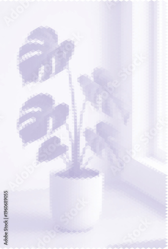 Monstera deliciosa plant in a white pot near a window