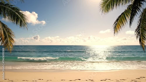 Tranquil beach scene with palm trees framing the shoreline, gentle waves lapping at the sandy beach under a bright sunlit sky with scattered clouds
