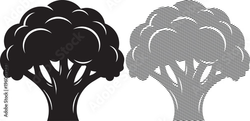 Contrasting visual styles of a broccoli plant depicted with different artistic techniques