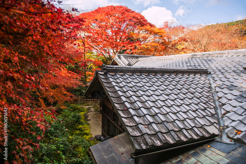 Konstfotografi Rurikoin Temple surround by red maple leaf tree tunnel, Kyoto