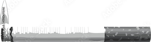 Cross-sectional illustration of lit cigarette showing burning tip, smoke, ash, tobacco filling, and filter structure, ideal for health, anatomy, smoking awareness, and design concepts