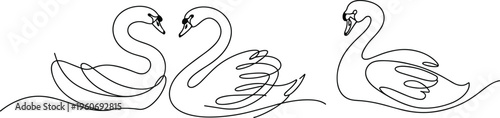 Three Swans in Continuous Line Art Forming a Heart Shape on White Background illustration