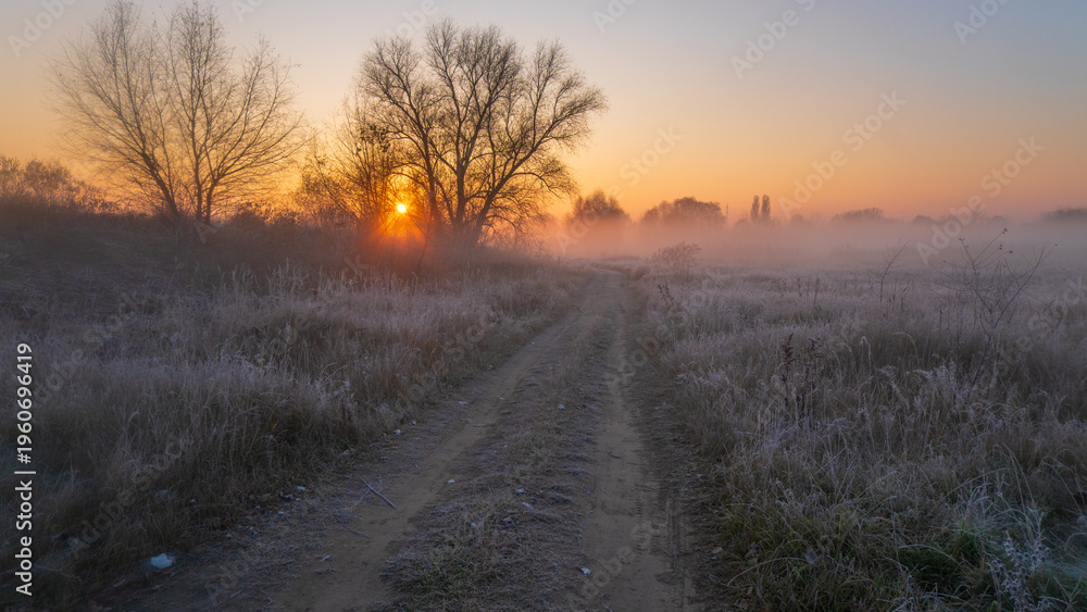 Fototapeta premium autumn sunrise in the fog around village
