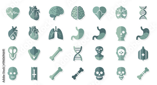 Collection of various medical icons in shades of green on a white background with a focus on human anatomy and health.