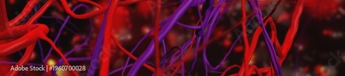 blood vessels, veins and arteries, circulatory system, 3d rendering