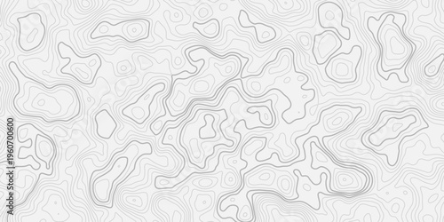 High Resolution Topographic Contour Map with Smooth Elevation Lines and Natural Terrain Relief Background