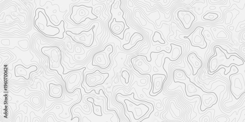 Professional Topographic Contour Line Pattern with Geographic Elevation Mapping and Mountain Relief Texture