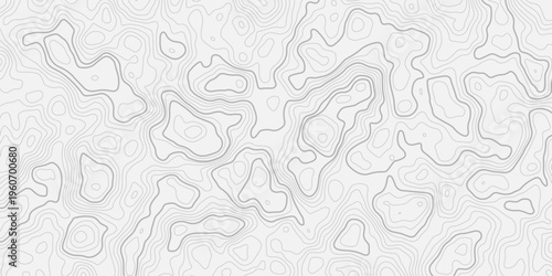 Minimal White Background with Seamless Topographic Contour Lines Showing Detailed Mountain Relief and Elevation