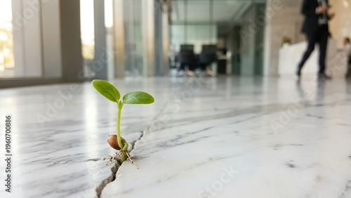 Green Plant Growing in Crack of Marble Floor in Modern Office Space