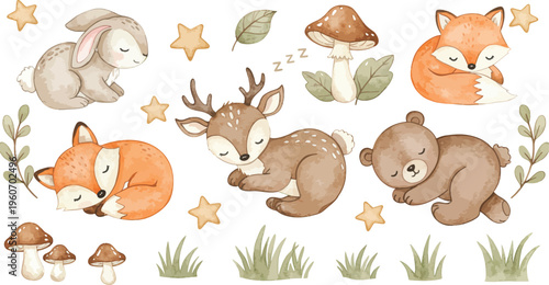 Watercolor forest animals and foliage illustrations including deer bear fox and rabbit