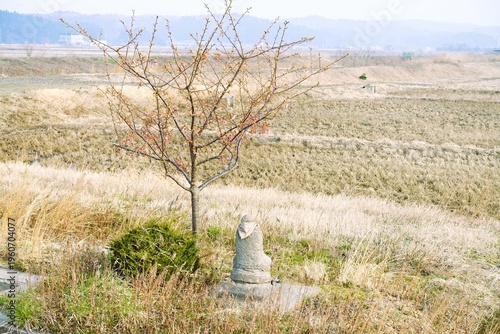 守り神、仏。田畑を見守る地蔵と梅の木