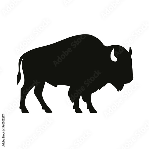 Bison buffalo silhouette isolated vector illustration