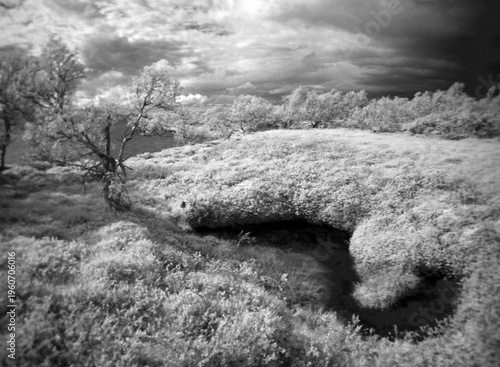 Landscape in Fulufjallet national park in Sweden in infrared