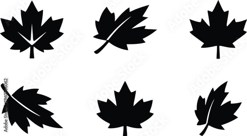 Black maple leaf silhouettes on white background maple leaves black leaves leaf shapes