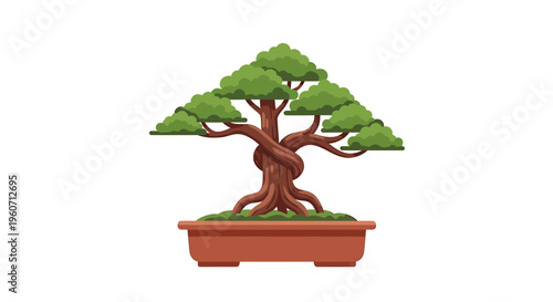 Bonsai tree, potted plant, green leaves, brown trunk, terracotta pot