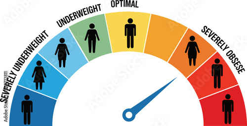 BMI scale chart showing underweight optimal overweight and obese categories with gauge indicator isolated on white background health concept illustration