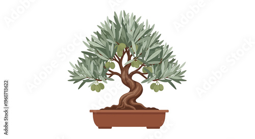 Bonsai Tree, Potted Olive Tree, Vector Plant, Small Potted Plant