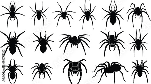 Collection of sixteen black spider silhouettes in grid arrangement, diverse arachnid shapes for creepy insect vector illustration design artwork