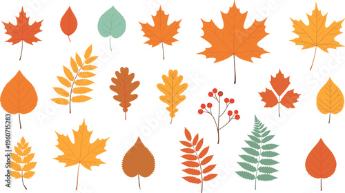  Colorful vector illustration of autumn leaves and berries, seasonal foliage symbolizing fall nature, diversity, decoration, presence concept