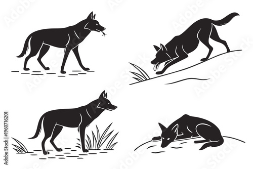 dingo-in-the-outback---icons-set---4-minimalist-ic