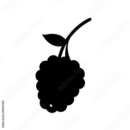 Graphic rendering of a black silhouette of a blackberry fruit with leaf