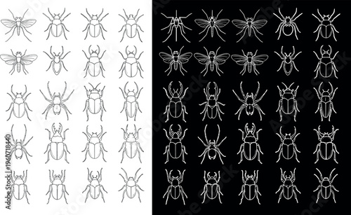 Insect silhouette icon vector illustration with decorative design, elegant entomology artwork, creative arthropod composition, ornamental background pattern