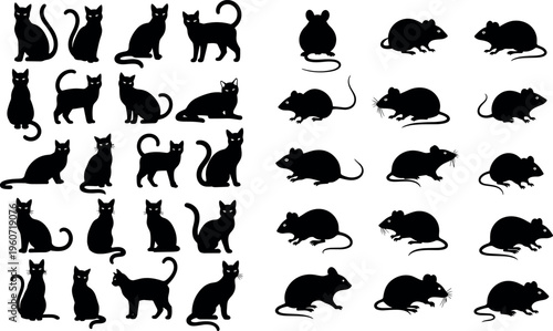 Vector illustration of cat and mouse silhouettes, diverse animal poses, sitting, walking, stretching, creative wildlife artwork design