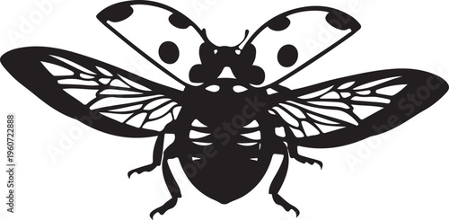 Black fly insect silhouette, bug icon, vector illustration, pest control symbol