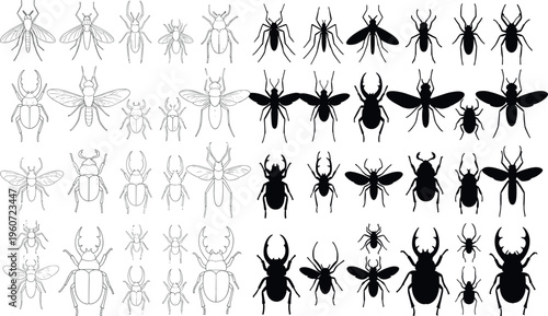 Vector illustration of insect silhouettes and line drawings, beetles, flies, spiders, diverse entomology artwork, modern creative design